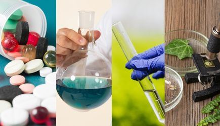 2,4-Dichlorobenzoyl Chloride 99%: Supporting Innovation in Pharmaceutical and Specialty Chemical Manufacturing