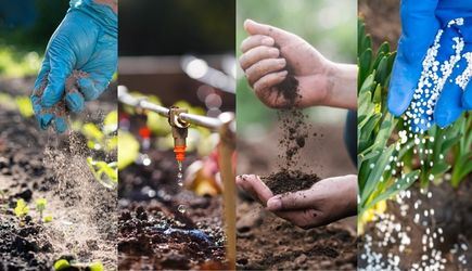 Sodium Acid Pyrophosphate (SAPP): An Essential Support Component for Effective Agrochemical Formulations