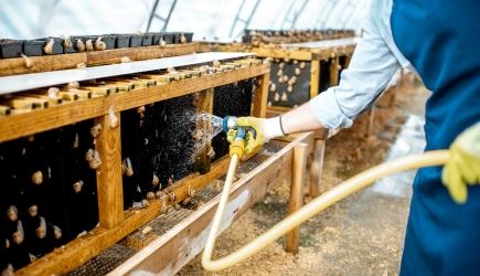 Sodium Dichloroisocyanurate 60% (SDIC): The Advanced Disinfectant for Animal Farms and Healthcare Systems Sodium Dichloroisocyanurate 60% (SDIC): The Advanced Disinfectant for Animal Farms and Healthcare Systems