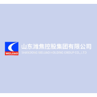 Weifang Zhenxing Risheng Chemical Co Ltd