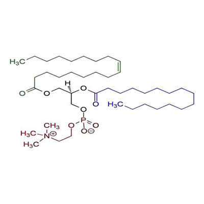 Soy lecithin powder