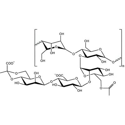 Xanthan gum 200 mesh 